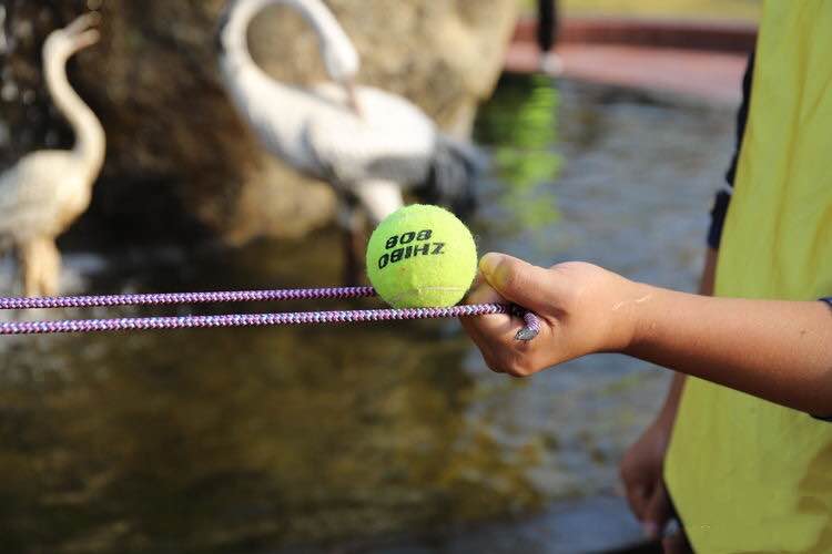 49b991c45e22fed63f916f0eae93a02