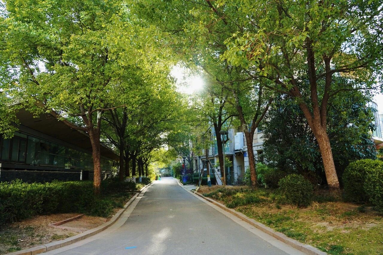 联合视察促落实，电梯更新惠民生