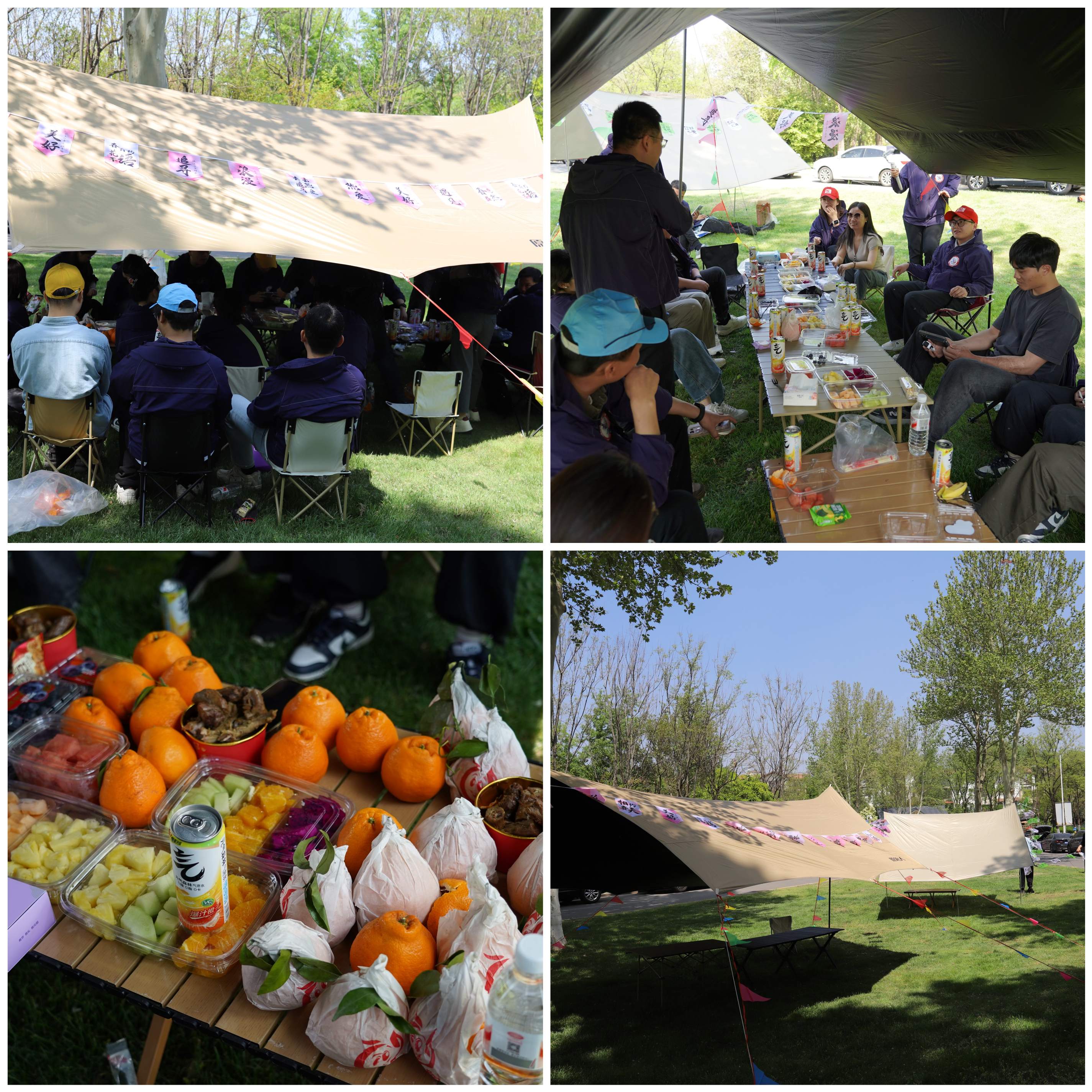 微信图片_20260414171537_1749_34(1)