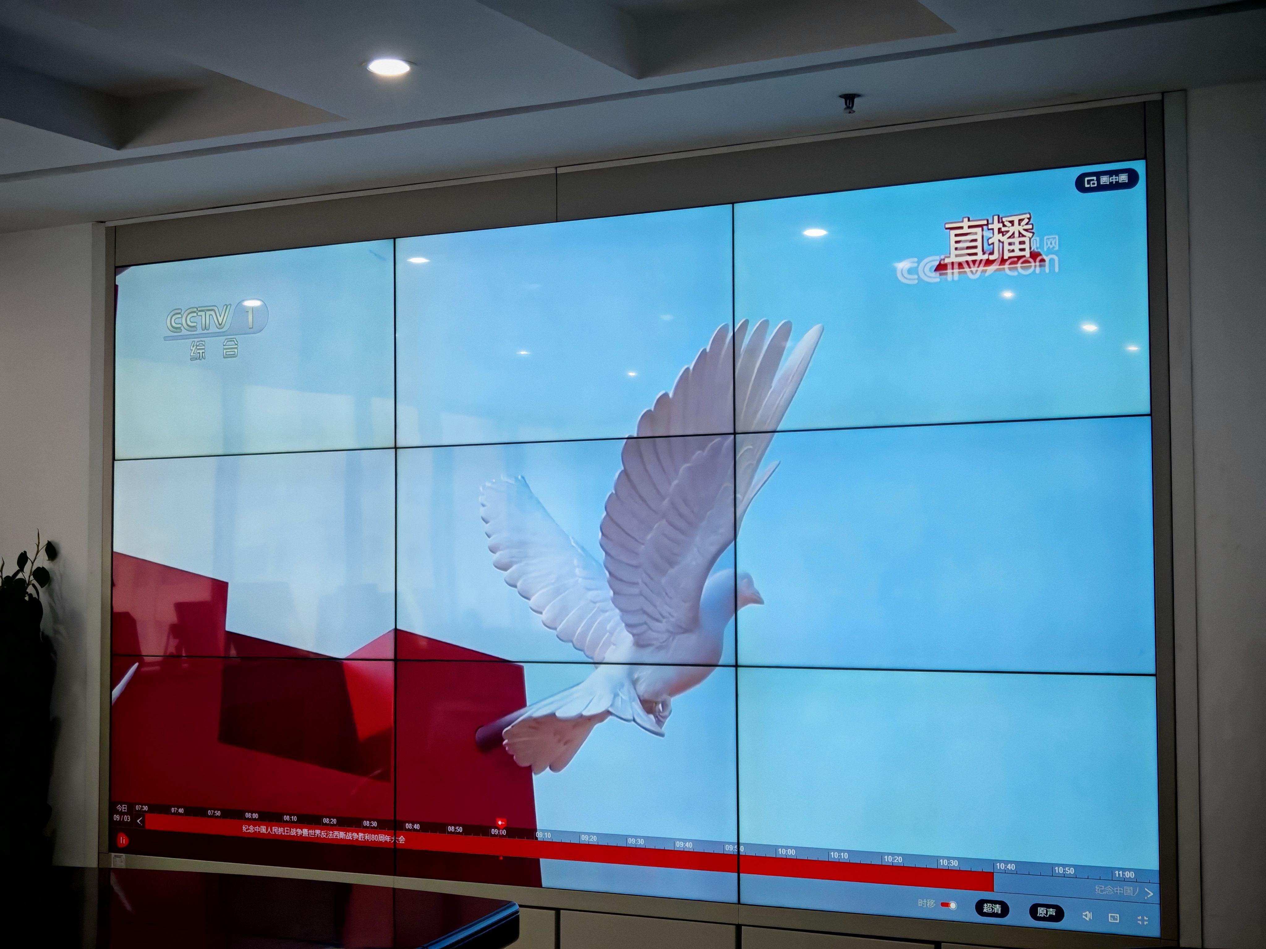 河南16877太阳集团组织观看抗战胜利80周年阅兵活动